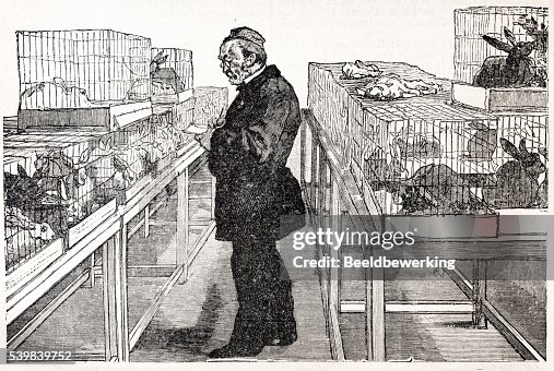 Pasteur animal testing in 1890 Pasteur animal testing in 1890