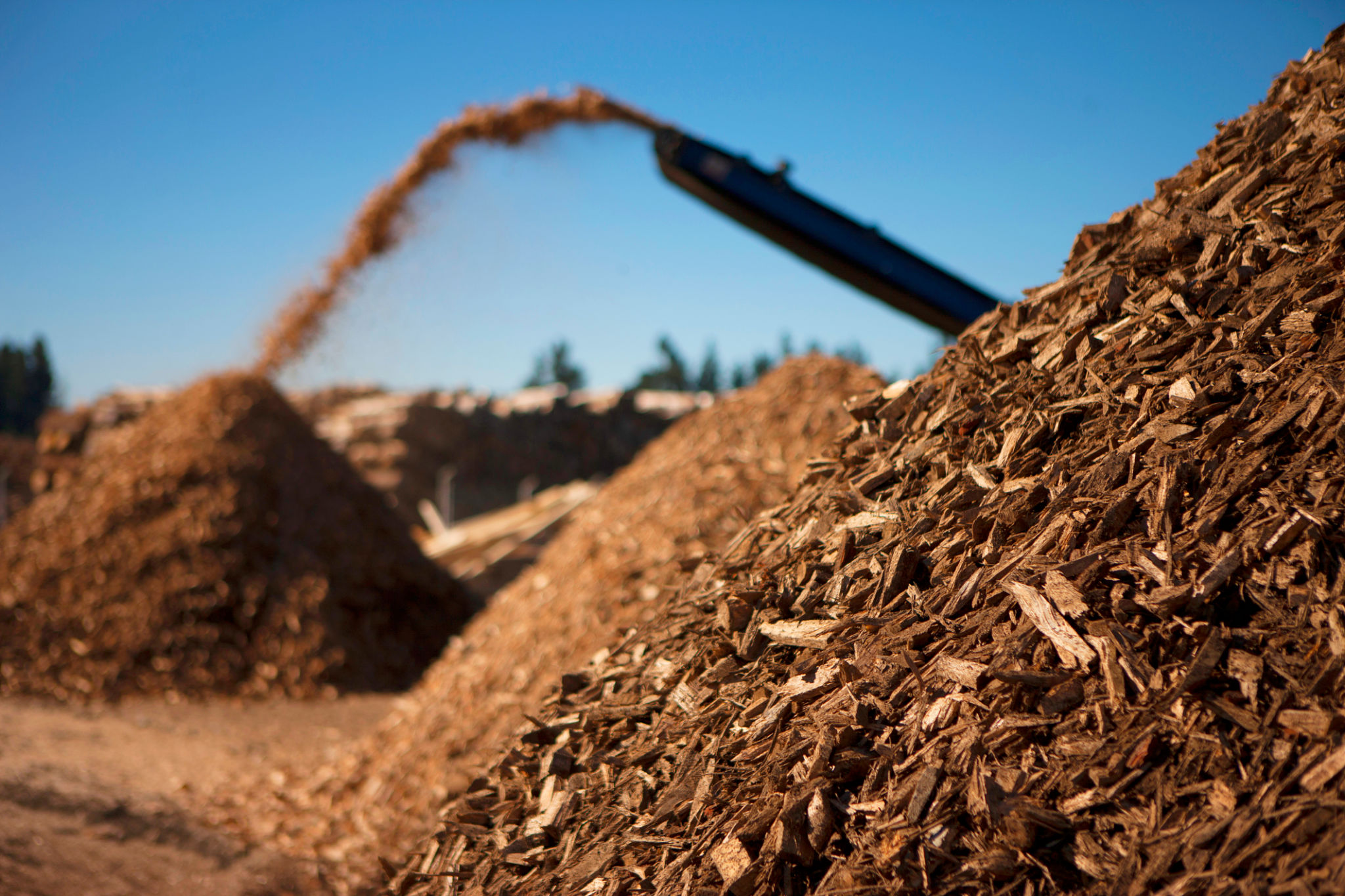 biomass plant