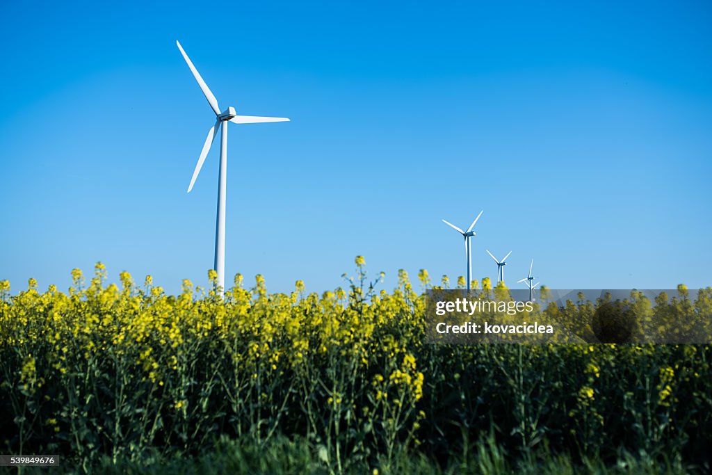 Little wind turbine