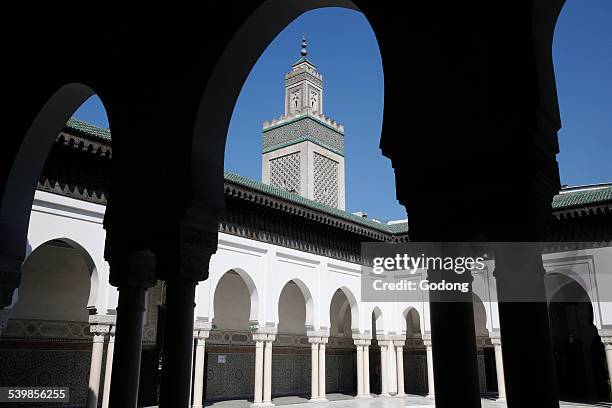 paris great mosque - mosque stock pictures, royalty-free photos & images