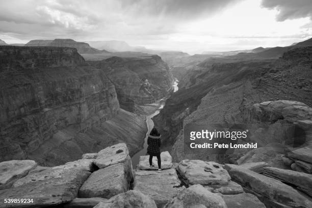 one over the canyon - toroweap point stock pictures, royalty-free photos & images