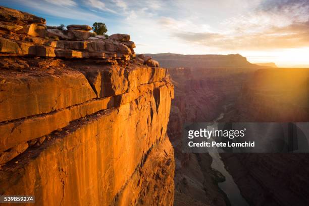 grand canyon view - toroweap point stock pictures, royalty-free photos & images