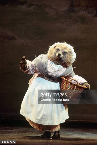 Iain Webb as Mrs Tiggywinkle in the Royal Ballet production of Tales of Beatrix Potter.
