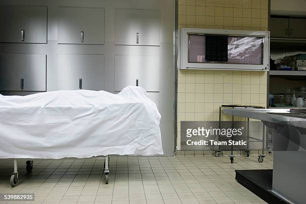 pathology department in a hospital - morgue bildbanksfoton och bilder