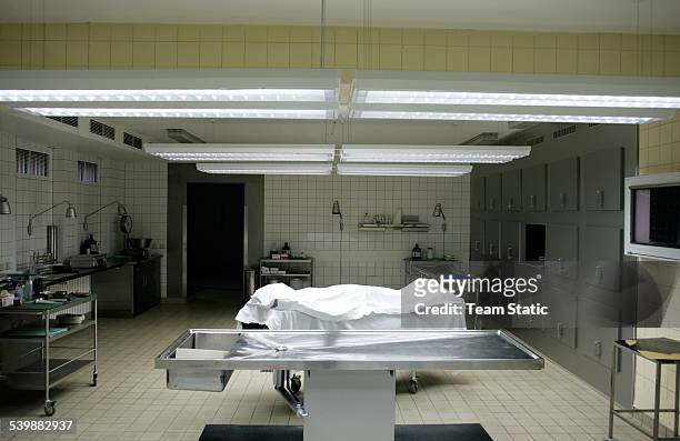 pathology department in a hospital - morgue ストックフォトと画像