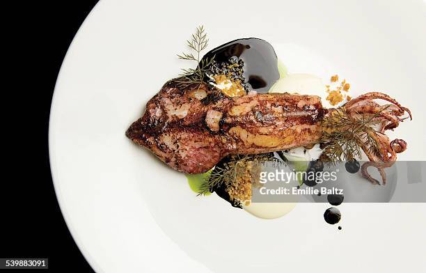 grilled squid served in plate against black background - lula frita imagens e fotografias de stock