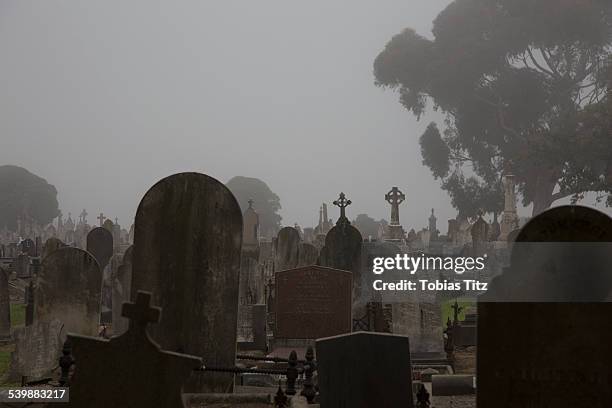 tombstones at cemetery against clear sky, melbourne, victoria, australia - cemetery stock pictures, royalty-free photos & images