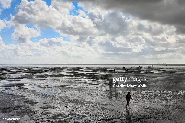 silhouette people walking on mudflats - north frisia stock pictures, royalty-free photos & images