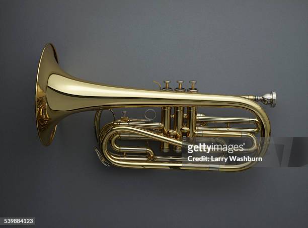 directly above shot of cornet against gray background - trumpet 個照片及圖片檔