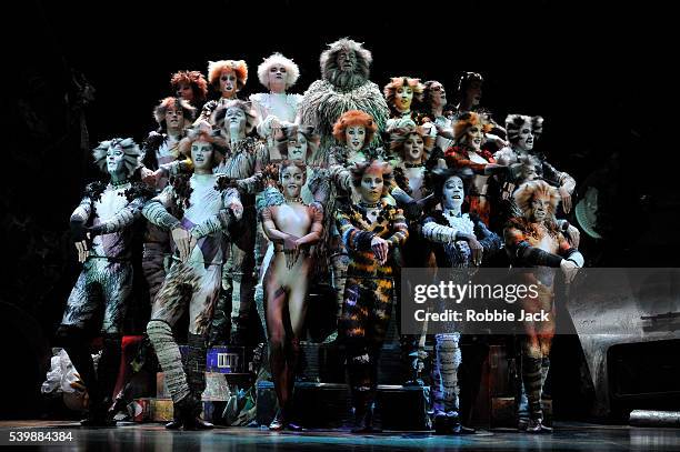 Cats Musical Photos and Premium High Res Pictures - Getty Images
