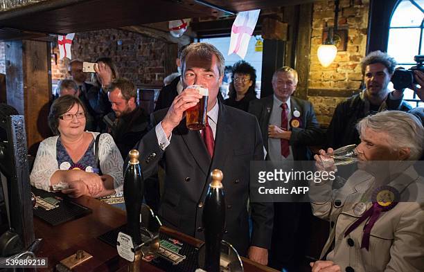 Independence Party leader Nigel Farage drinks a pint of beer in a public house in Sittingbourne as he campaigns for Brexit on June 13, 2016....