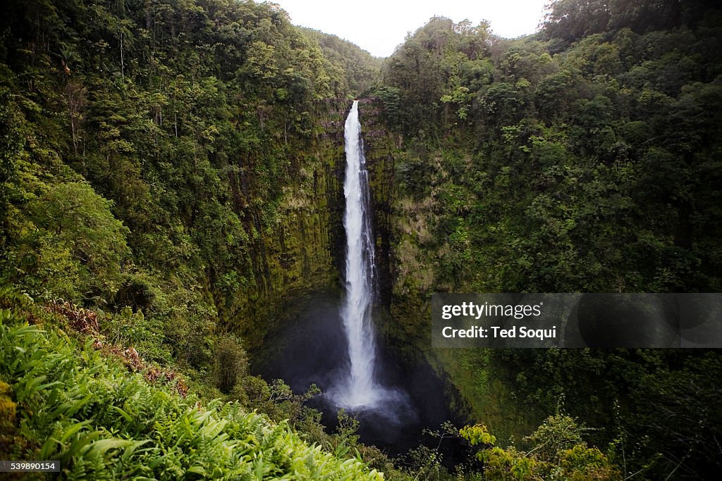 USA - Hawaii - Kona - Akaka Falls