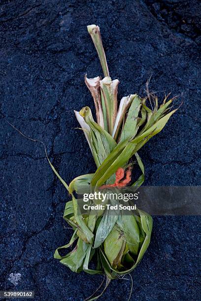 Traditional offering to Pele, the Goddess of fire and volcanoes, on Kalapana beach, Kona Island, Hawaii.