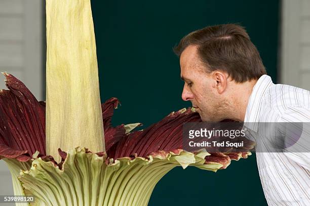 The world's stinkiest flower, the "Corpse Flower" of Sumatra, is in full bloom at the California State University of Fullerton. The spectacular Titan...