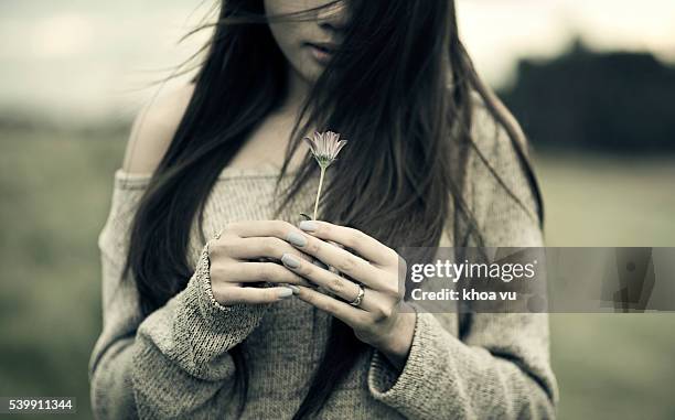 woman holding flower - vietnamese ethnicity stock pictures, royalty-free photos & images