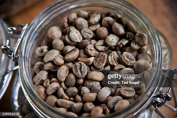 Hulled and cleaned Kopi Luwak beans ready to be roasted. Coffee Luwak or otherwise know by Indonesians as Kopi Luwak. The Asian Civet, or locally...