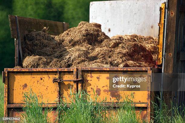 europe, germany, bavaria, view of steel container filled with manure and old hay - anaerobic stock pictures, royalty-free photos & images