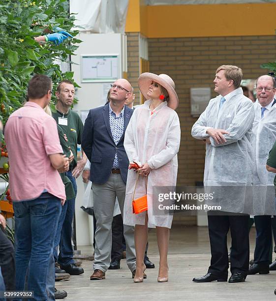 King Willem-Alexander and Queen Maxima of The Netherlands visit the sustainable tomato producer Empatec during their regional tour of north west...