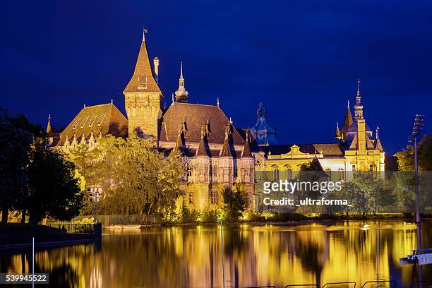 vajdahunyad castle in budapest - vajdahunyad castle stock pictures, royalty-free photos & images