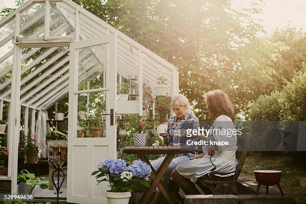 friends outside greenhouse having coffee break - vegetable patch stock pictures, royalty-free photos & images