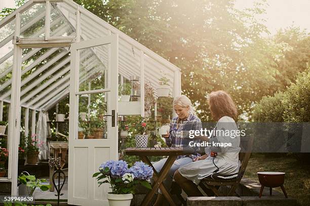 friends outside greenhouse having coffee break - kaffe dryck bildbanksfoton och bilder