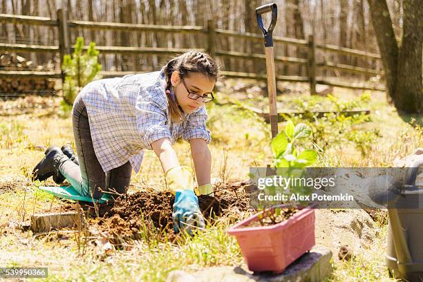 teenager girl planting flowers on backyard at early spring - alex gardner stock pictures, royalty-free photos & images