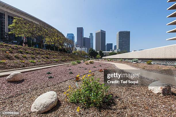 Public water use in the downtown area of Los Angeles. In the middle of one of the worst droughts in California's history, Los Angeles changes the way...