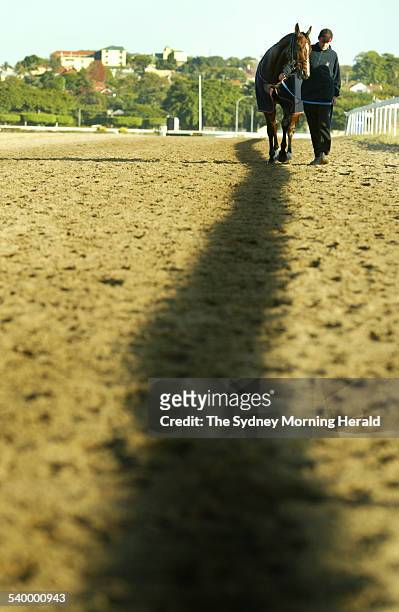 Red Oog with strapper Dave Humbyafter track work at Eagle Farm in preparation for the Stadbroke Handicap on Saturday, 6 June 2006. SMH Picture by...