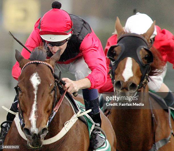 Horse Racing at Rosehill. Race 6 Winner Red Oog, red cap, ridden by Hugh Bowman, 30 August 2005. SHD Picture by JENNY EVANS