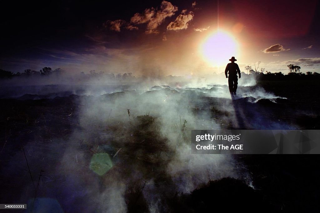 A cane farmer near Bundaberg, Queensland. Angus Gresham burns the leftovers of