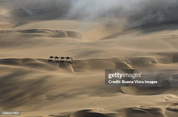 camel caravan in a desert - 隊商 ストックフォトと画像