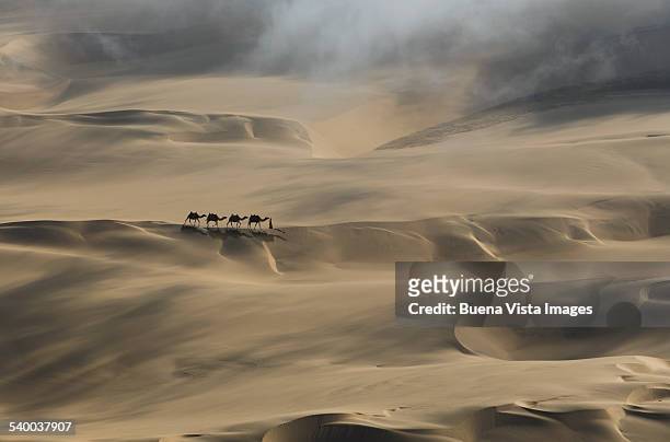 camel caravan in a desert - camel train stock pictures, royalty-free photos & images