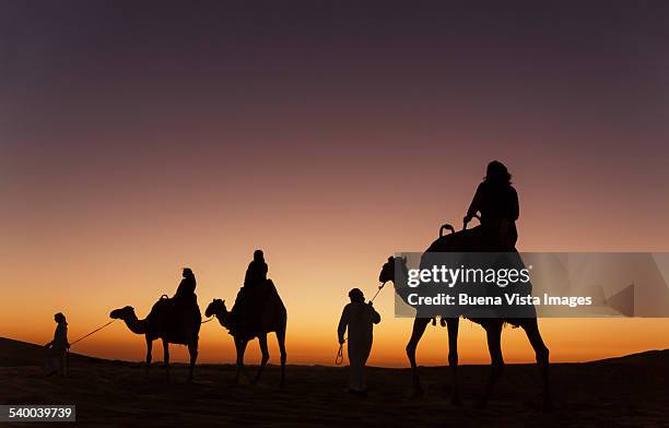 tourists on a camel ride at sunset - motorized vehicle riding stock pictures, royalty-free photos & images