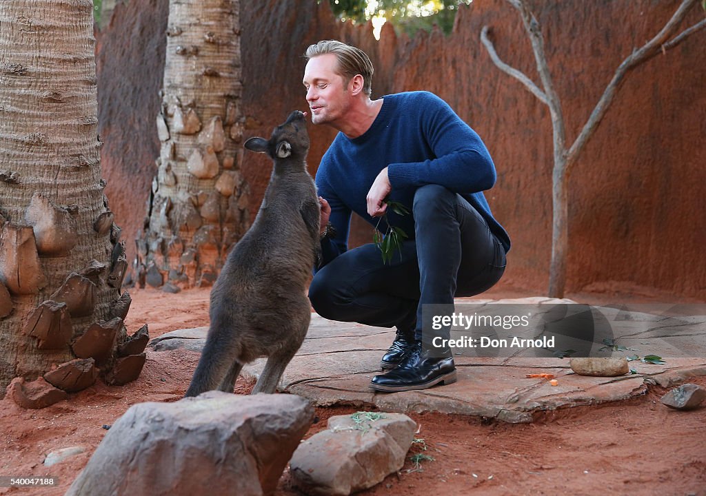 The Legend of Tarzan Alexander Skarsgard Photo Call