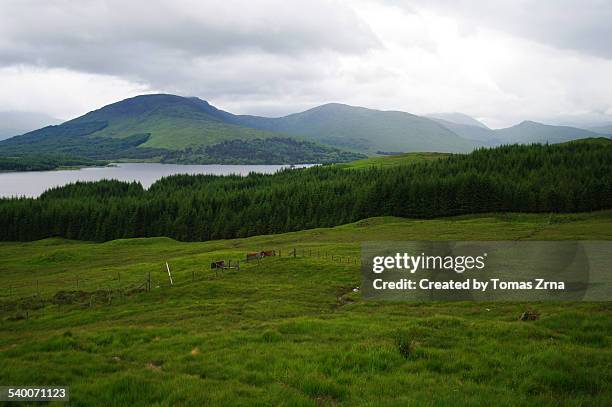 spring landscape around schiehallion - schiehallion stock pictures, royalty-free photos & images