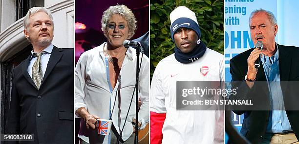 Combination of pictures shows personalities in favour of voting to leave the European Union in the June 23 referendum, WikiLeaks founder Julian...