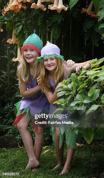 Sydney Harbour Bridge 75th Anniversary Walk. Nine-year-olds Sophie Cole, and Harriet Barker are planning to dress up as Gumnut Babies for the 75th...