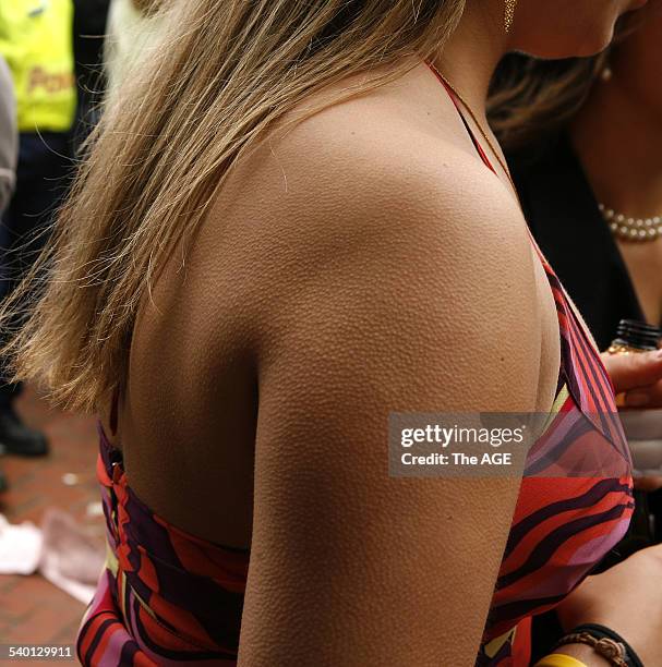 Spring Racing Carnival 2006. 'G' was for goosebumps on a blustry Melbourne Cup Day at Flemington Racecourse, 7 November 2006. THE AGE SPORT Picture...