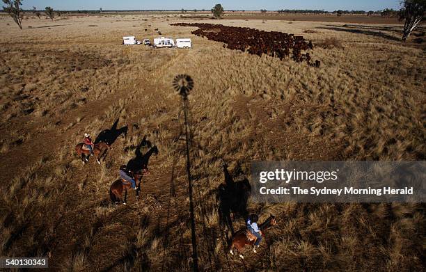 Janelle Little, left, and her daughters Tanielle centre and Sharna right drive cattle past their camp back to the Gwydir Highway for a days' feeding,...