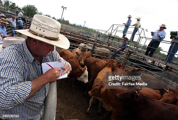 Gunnedah Cattle yard is presently experiencing a boom in sales, due to strong overseas demand, 23 January 2007. AFR Picture by JIM RICE
