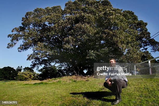 Paul Tracey, park manager of Centennial Parklands, pictured in front of a Moreton Bay fig tree worth $180,000. The 15,800 trees in Centennial/Queens...