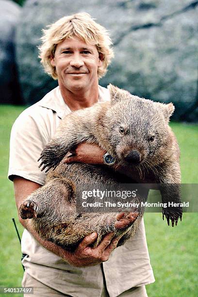 Steve Irwin with a wombat at his Sunshine Coast animal sanctuary, Australia Zoo, Queensland, 28 March 2003. SMH NEWS Picture by HEATH MISSEN