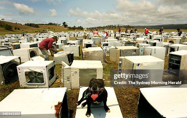 Dog called Poppy sits on a washing machine during construction of a washing machine sculpture in a paddock in Jellat Jellat, near Bega on the south...