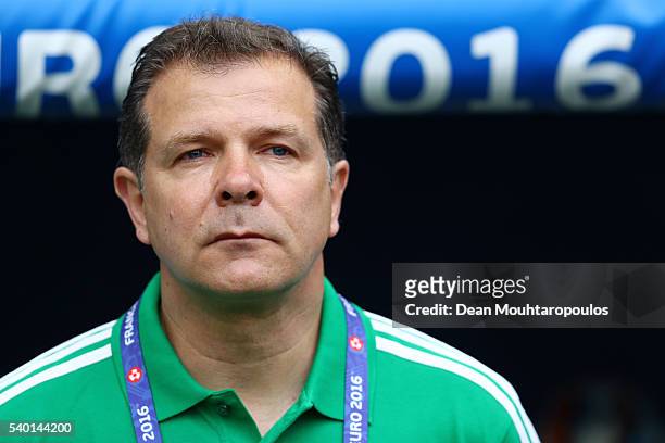Assistant manager Andreas Mueller of Hungary is seen prior to the UEFA EURO 2016 Group F match between Austria and Hungary at Stade Matmut Atlantique...