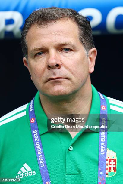 Assistant manager Andreas Mueller of Hungary is seen prior to the UEFA EURO 2016 Group F match between Austria and Hungary at Stade Matmut Atlantique...