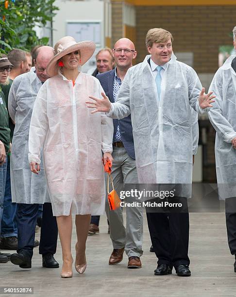 King Willem-Alexander and Queen Maxima of The Netherlands visit the sustainable tomato producer Empatec during their regional tour of north west...