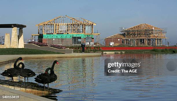 Ballet of swans gather near a new housing estate, 25 April 2006. THE AGE Picture by REBECCA HALLAS