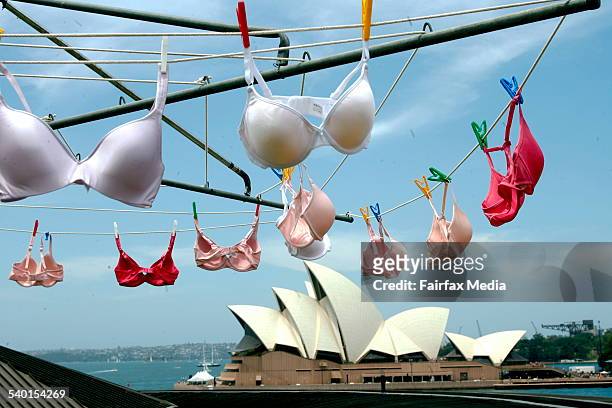 127 Bras On Washing Line Stock Photos, High-Res Pictures, and