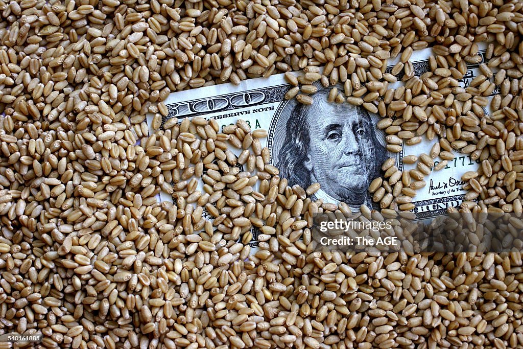 Wheat. One hundred dollar note in a bag of wheat. Generic image. AWB. Australian