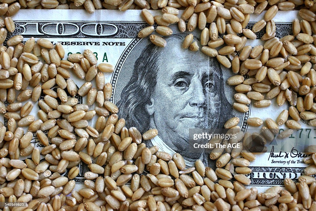 One hundred dollar note in a bag of wheat. Generic image. AWB. Australian Wheat